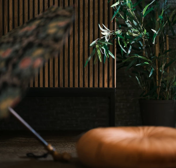 Cesta kolem světa vol.2